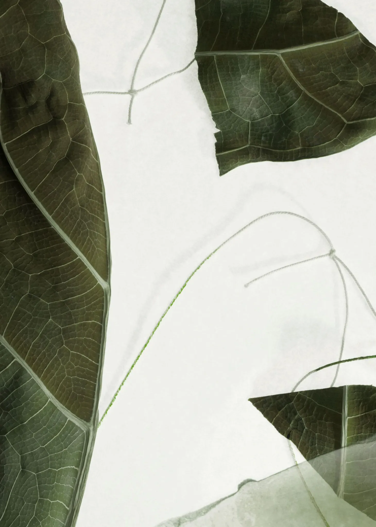 Arabesque Trehandkrem